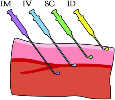 Appendix-1.png (369×322)