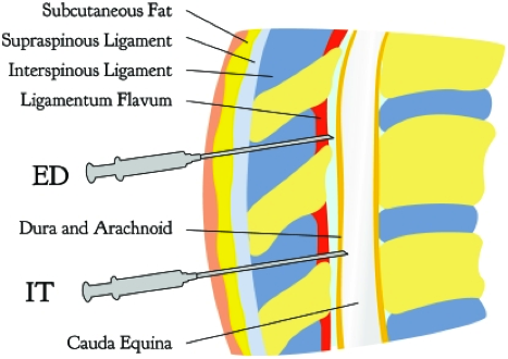 Appendix-2.png (467×330)